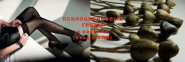 ECSTASY Зерноград