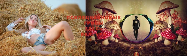 MDMA Зеленокумск